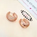 Laser Cut Stoned Earrings - Image 3