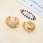 Laser Cut Stoned Earrings - Image 4