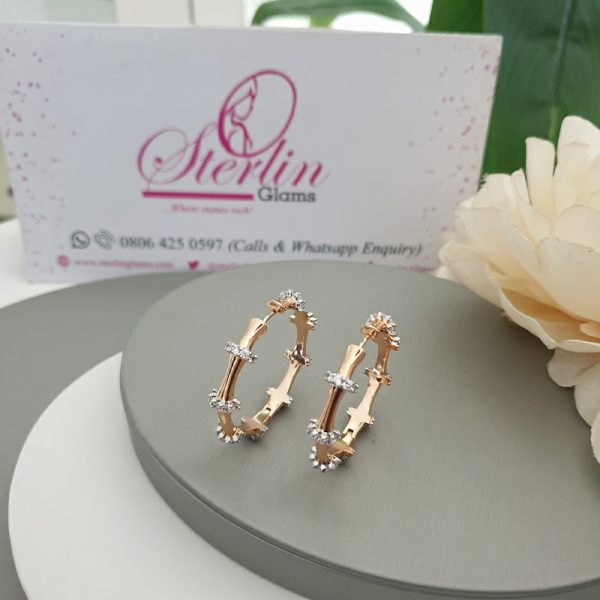 Stone Crest Earrings