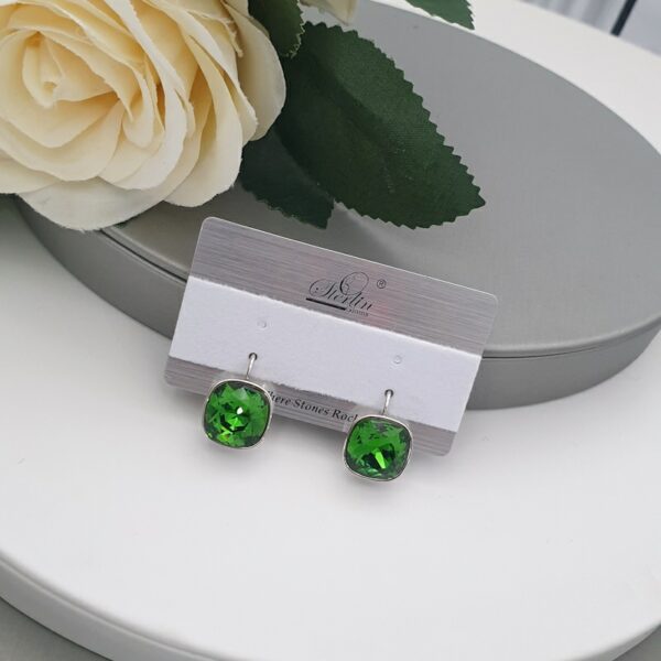 Stone Colour Earring